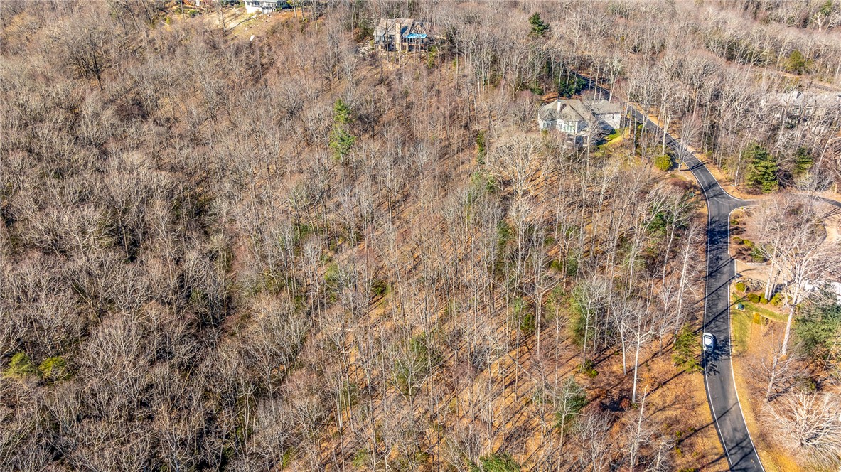 100 Park Green Way, Landrum, South Carolina image 14
