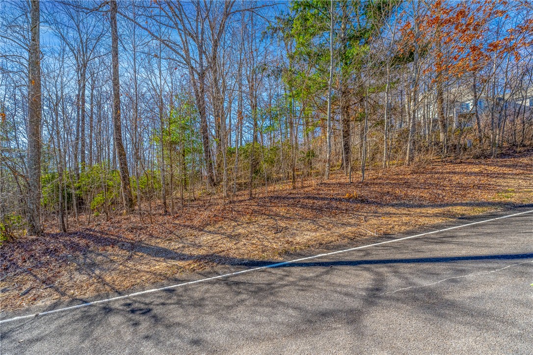 100 Park Green Way, Landrum, South Carolina image 2