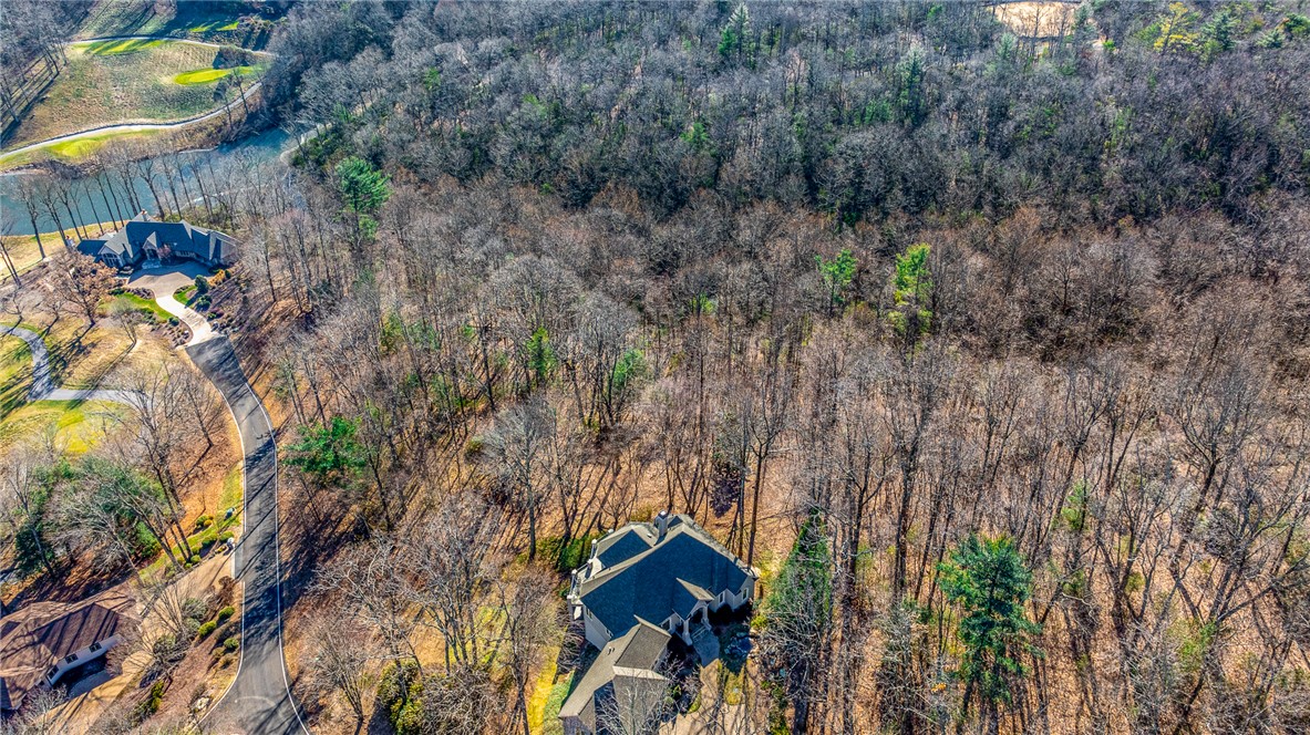 100 Park Green Way, Landrum, South Carolina image 4