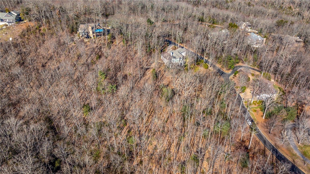 100 Park Green Way, Landrum, South Carolina image 12