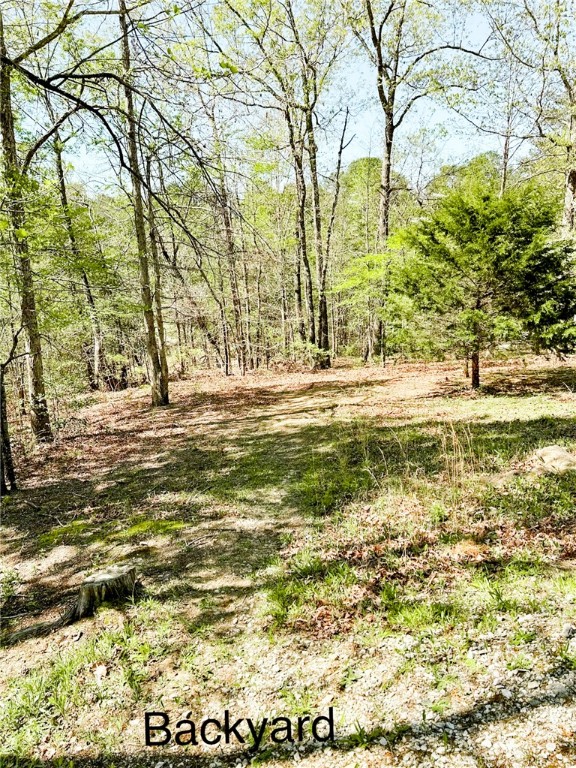 608 Mckinney Way, Westminster, South Carolina image 9