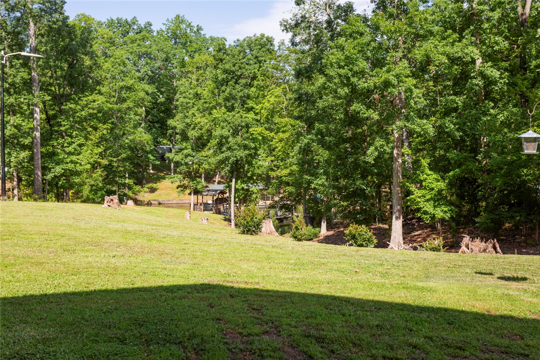 125 Willow Point, Abbeville, South Carolina image 44