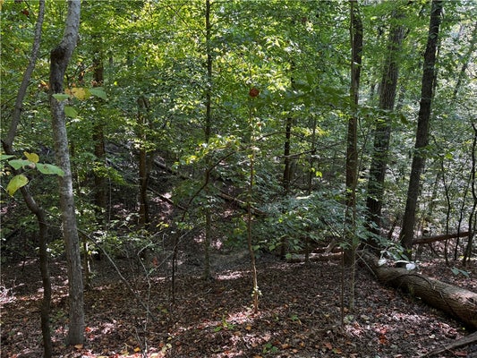 107 BUTTERCUP CT, WESTMINSTER, SC 29693 - Image 301c3dfd0bb2ade11c740bba41632db2/203530204