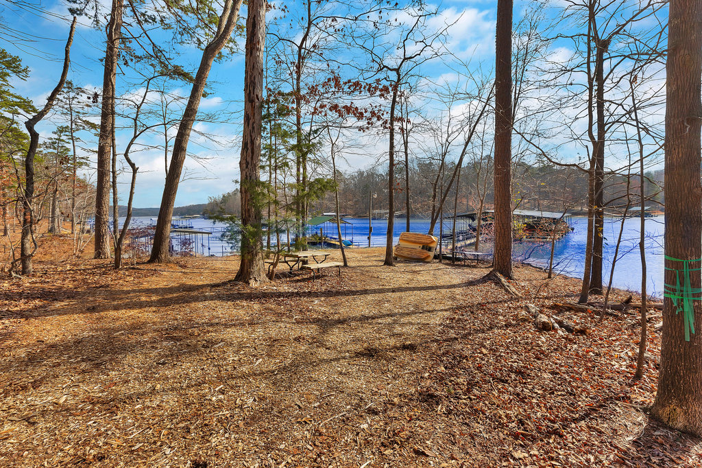 390 Lake Place Drive, Lavonia, Georgia image 45