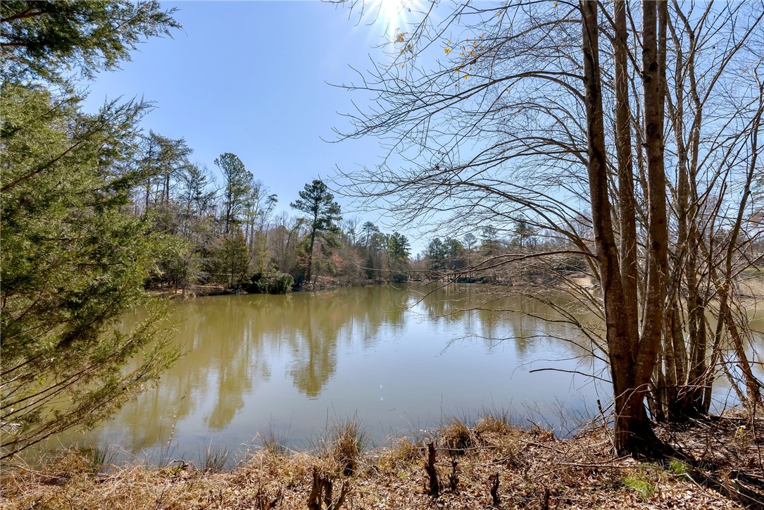 1298 Moorehead Place, Pendleton, South Carolina image 43