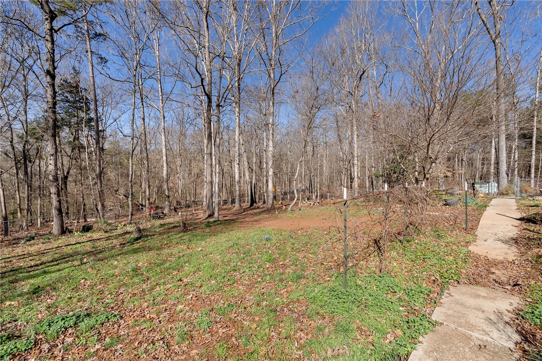 1298 Moorehead Place, Pendleton, South Carolina image 31