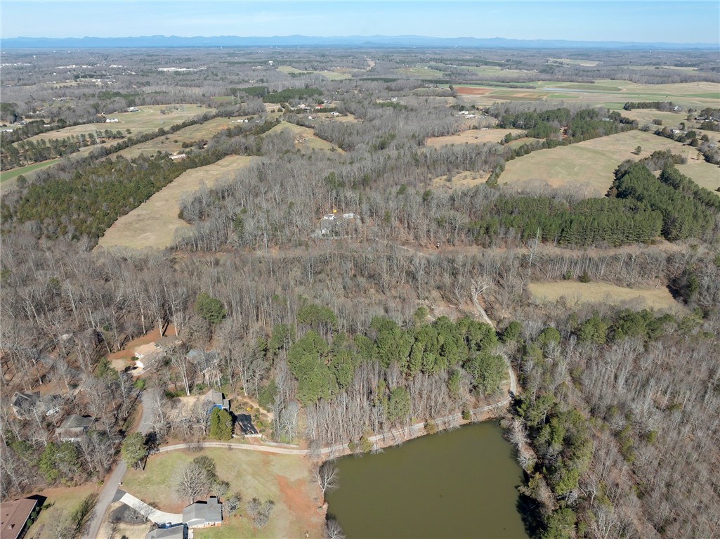 1298 Moorehead Place, Pendleton, South Carolina image 47