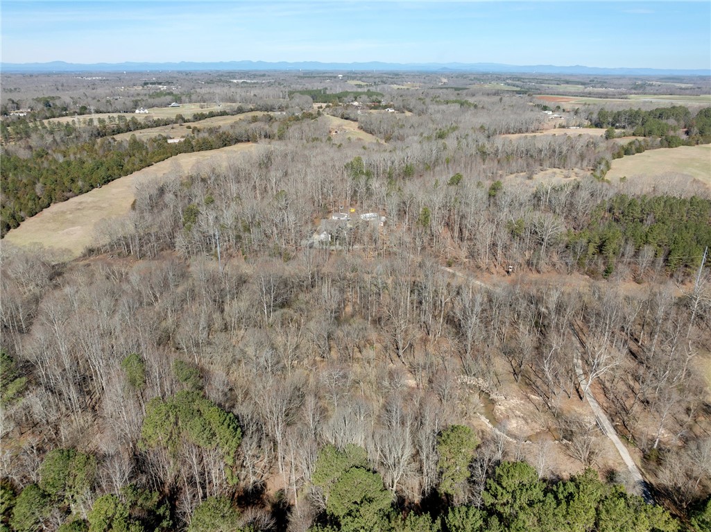 1298 Moorehead Place, Pendleton, South Carolina image 48