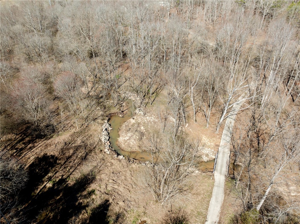 1298 Moorehead Place, Pendleton, South Carolina image 49