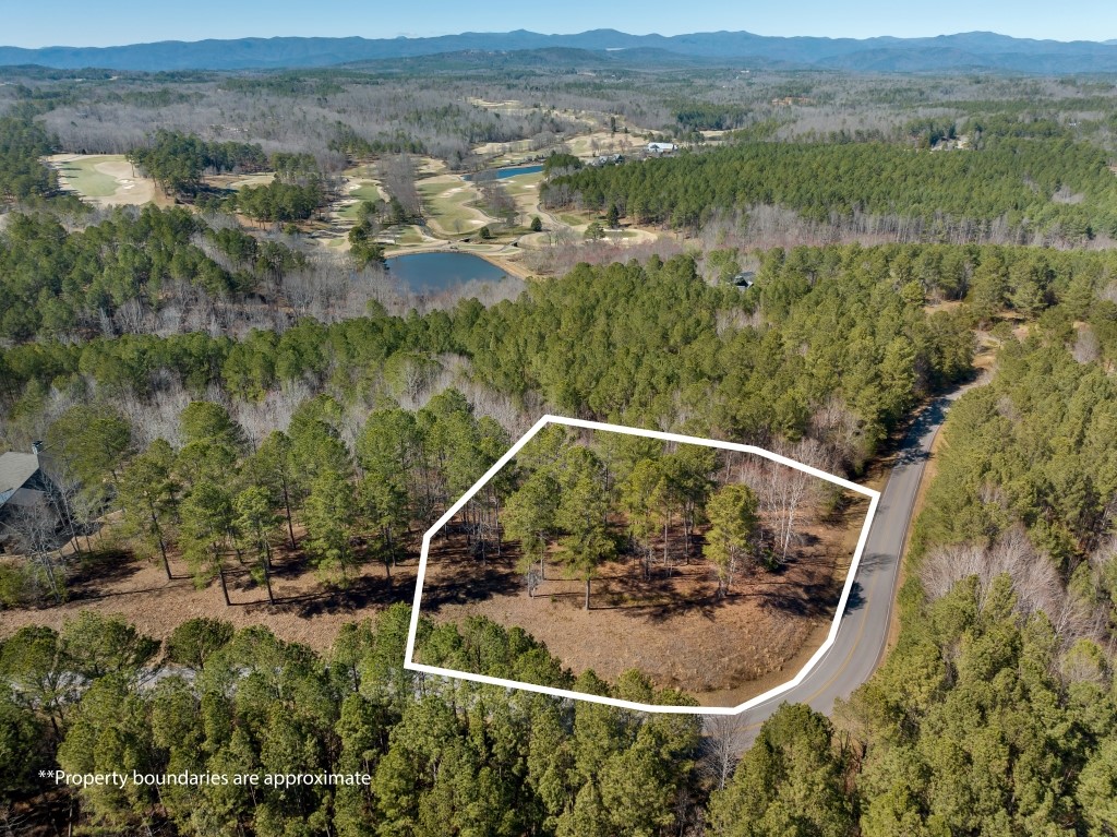 Lot 60 Cliffs South Parkway, Salem, South Carolina image 8