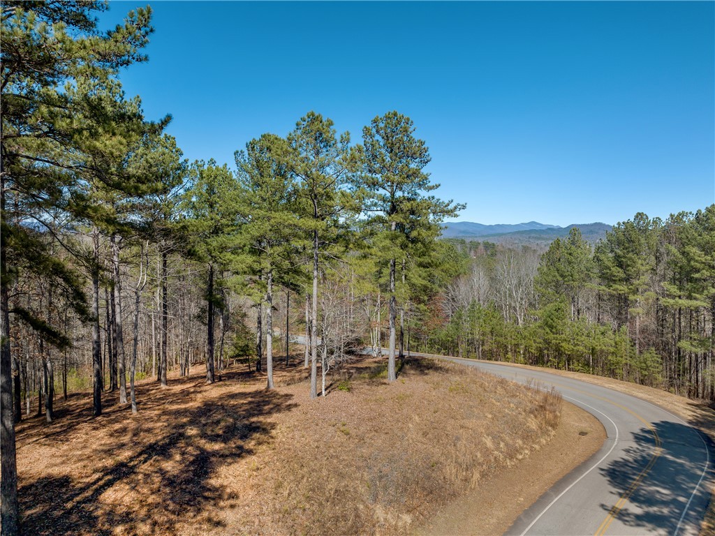 Lot 60 Cliffs South Parkway, Salem, South Carolina image 3