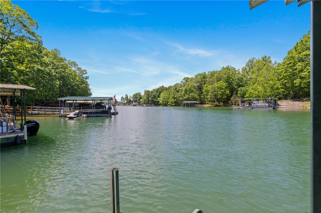 118 Pinnacle Pointe Drive, Seneca, South Carolina image 47