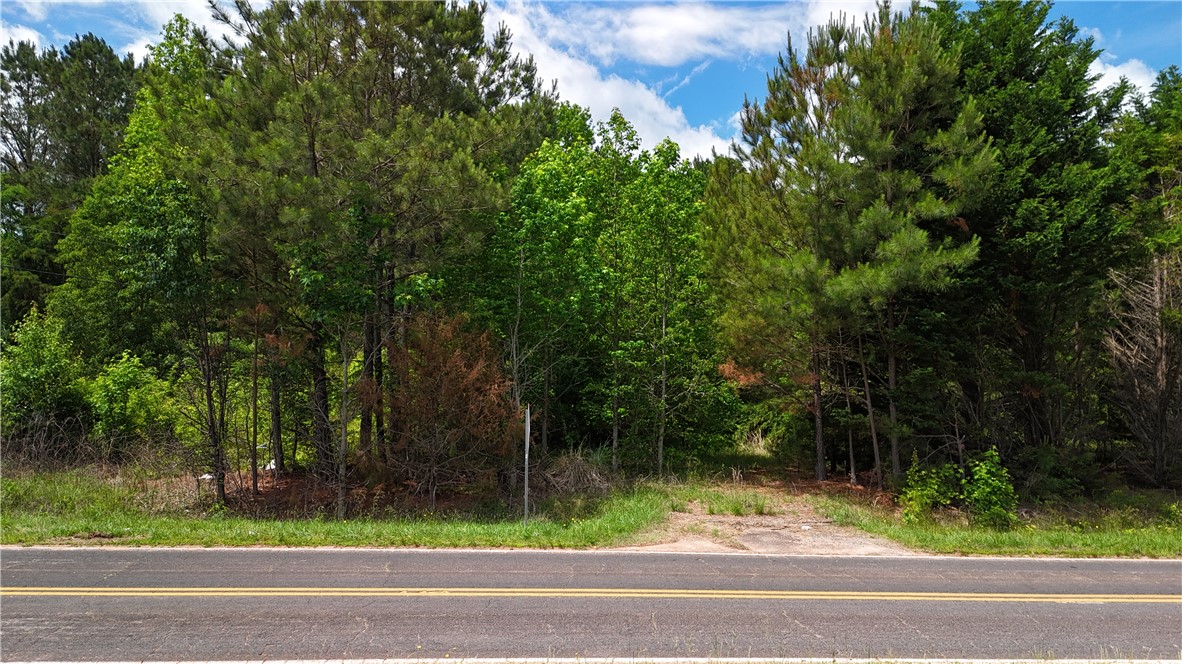 211 N Major Road, Belton, South Carolina image 8