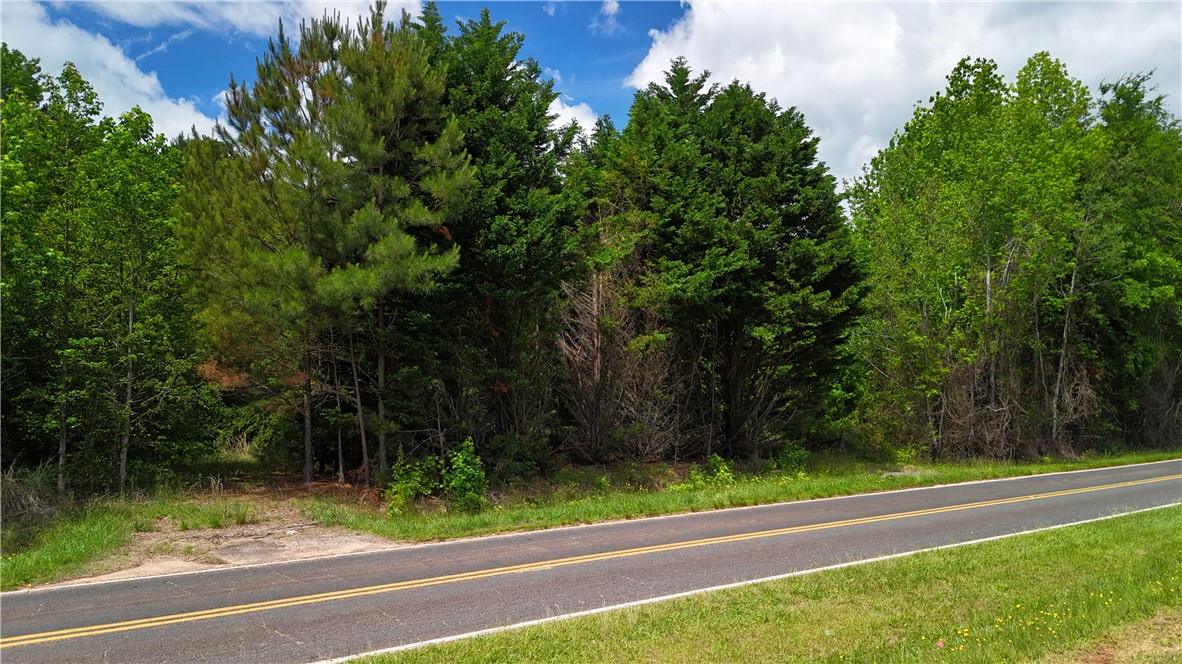 211 N Major Road, Belton, South Carolina image 9