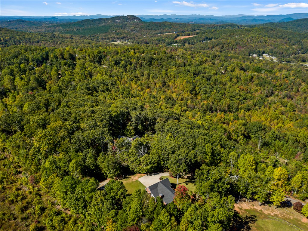 Easley, South Carolina 29640, United States, 4 Bedrooms Bedrooms, ,3 BathroomsBathrooms,Residential,Pending,233133