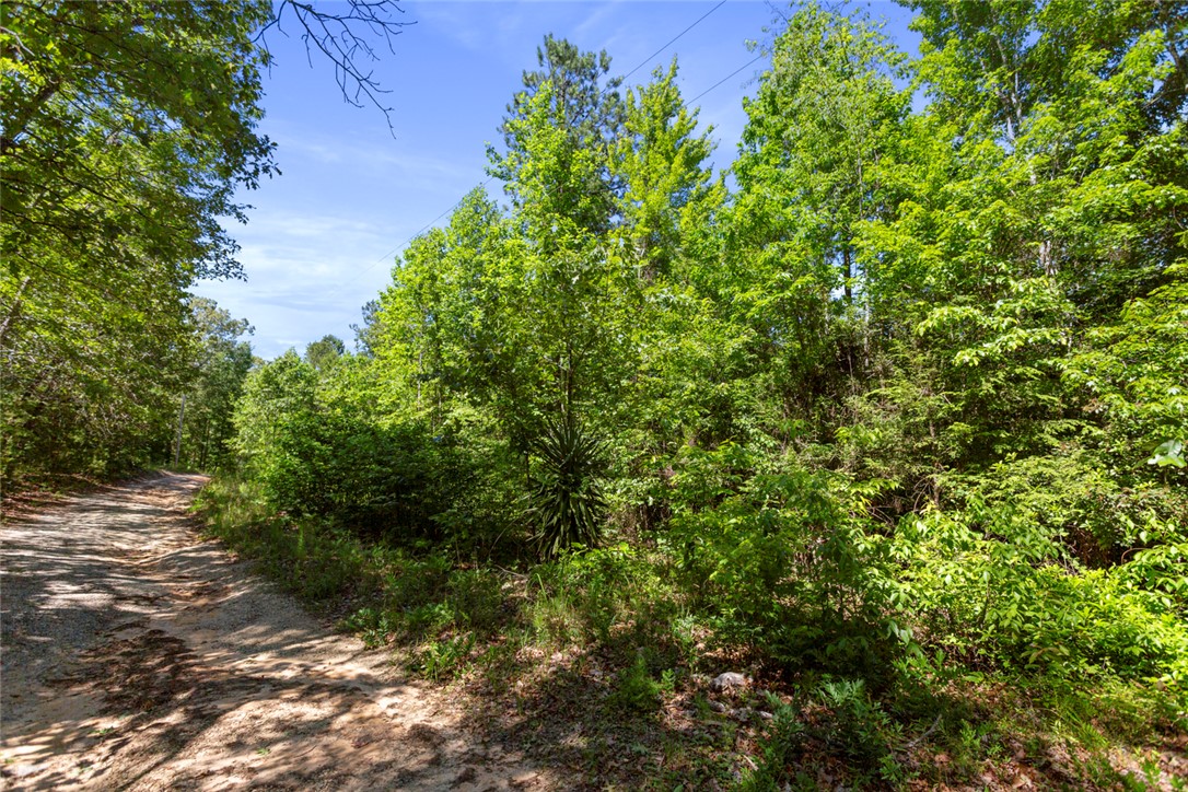 00 Posey Lane, Westminster, South Carolina image 6