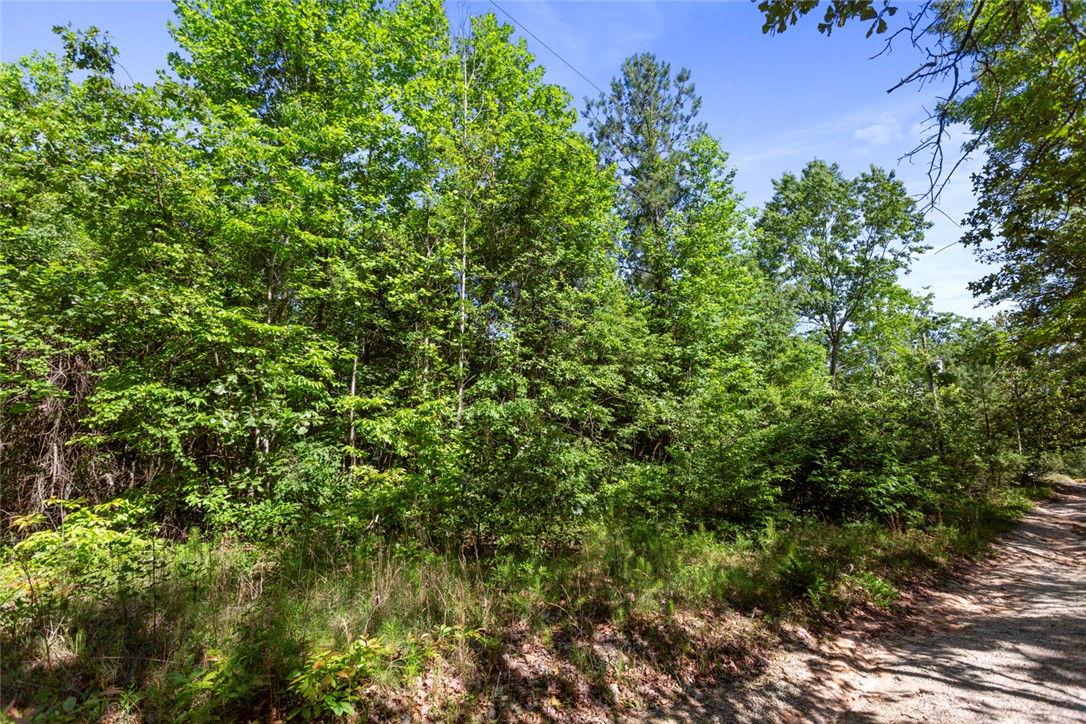 00 Posey Lane, Westminster, South Carolina image 5
