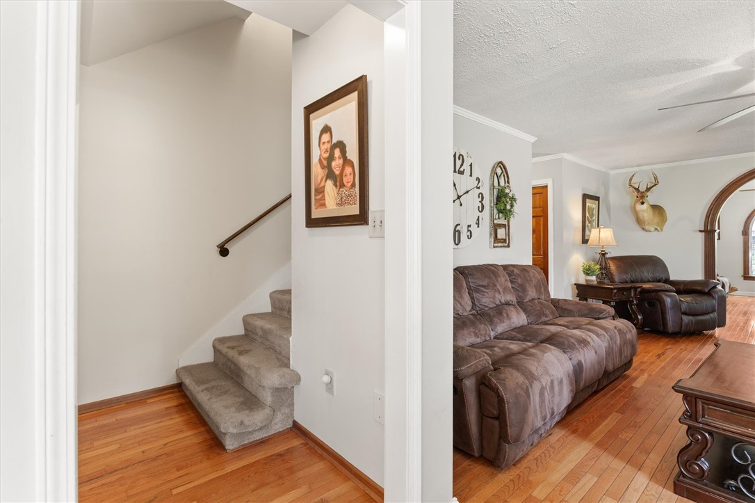 125 Mcalister Circle, Williamston, South Carolina image 32