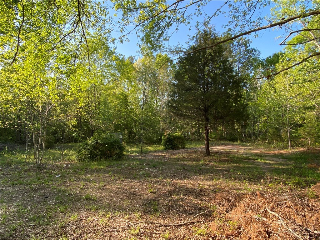 884 Martin Road, Starr, South Carolina image 4