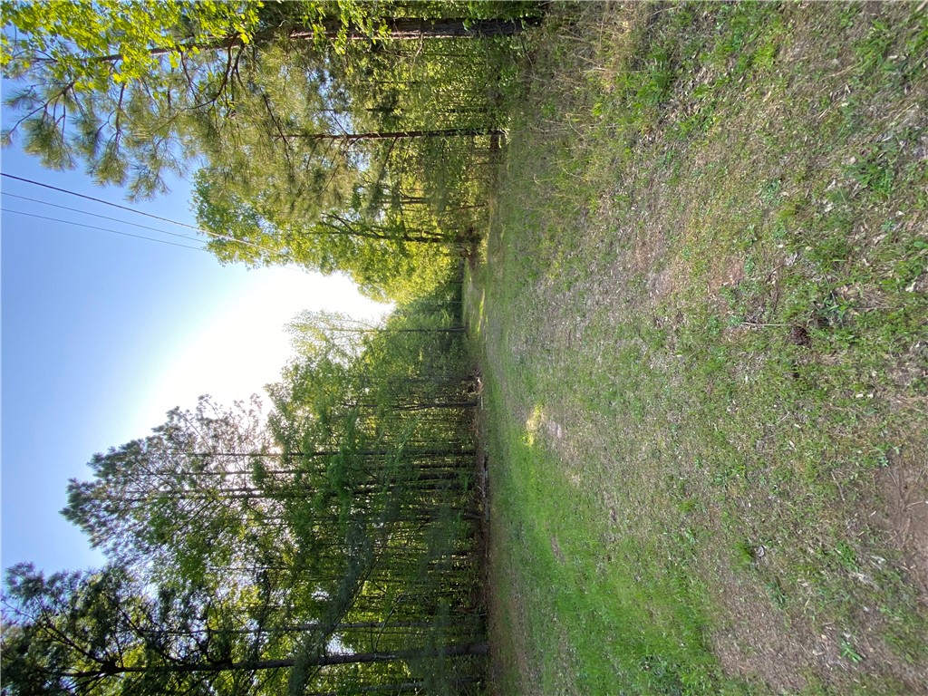 884 Martin Road, Starr, South Carolina image 3