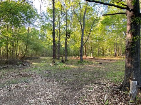 Vacant Land For Sale - 884 Martin Road<br/> Starr, SC 29684