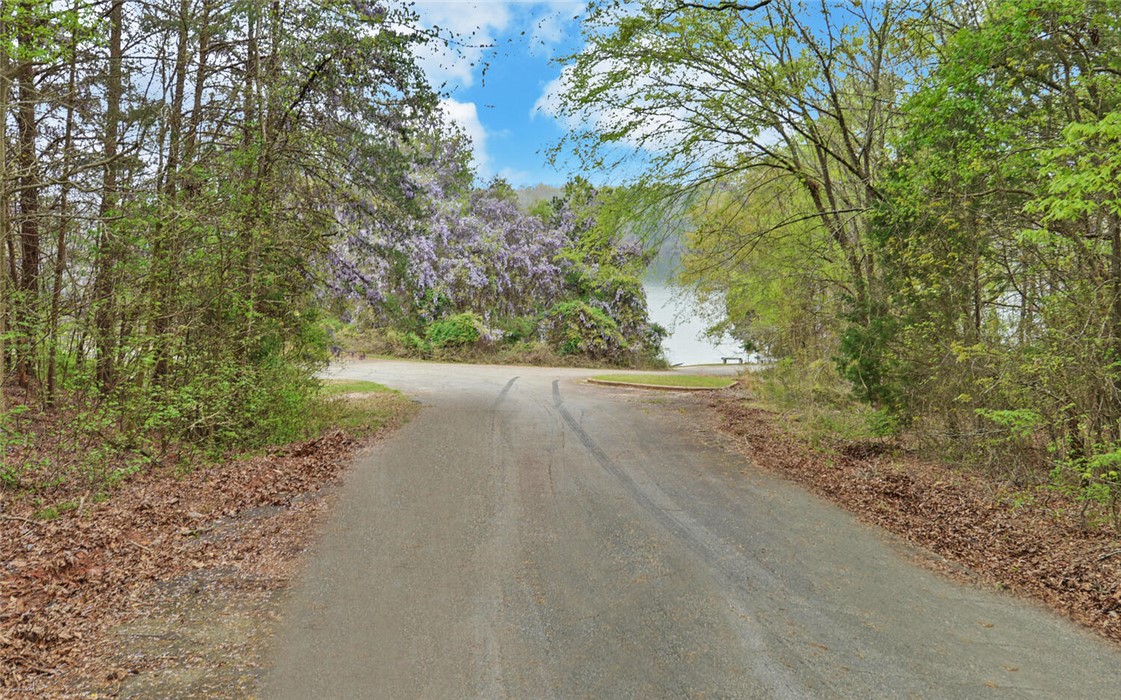 1481 Gregg Shoals Road, Abbeville, South Carolina image 24