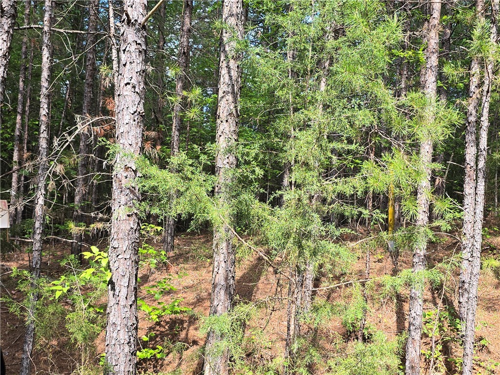 120 Rolling Hill Drive, Anderson, South Carolina image 1