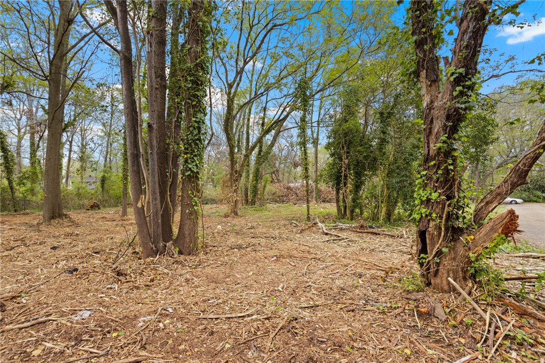 719 Burdine Road, Anderson, South Carolina image 16