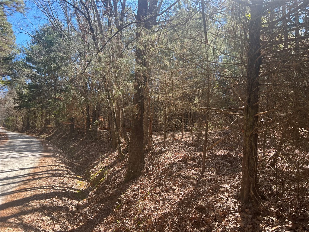 00 Prater Farm Road, Seneca, South Carolina image 18