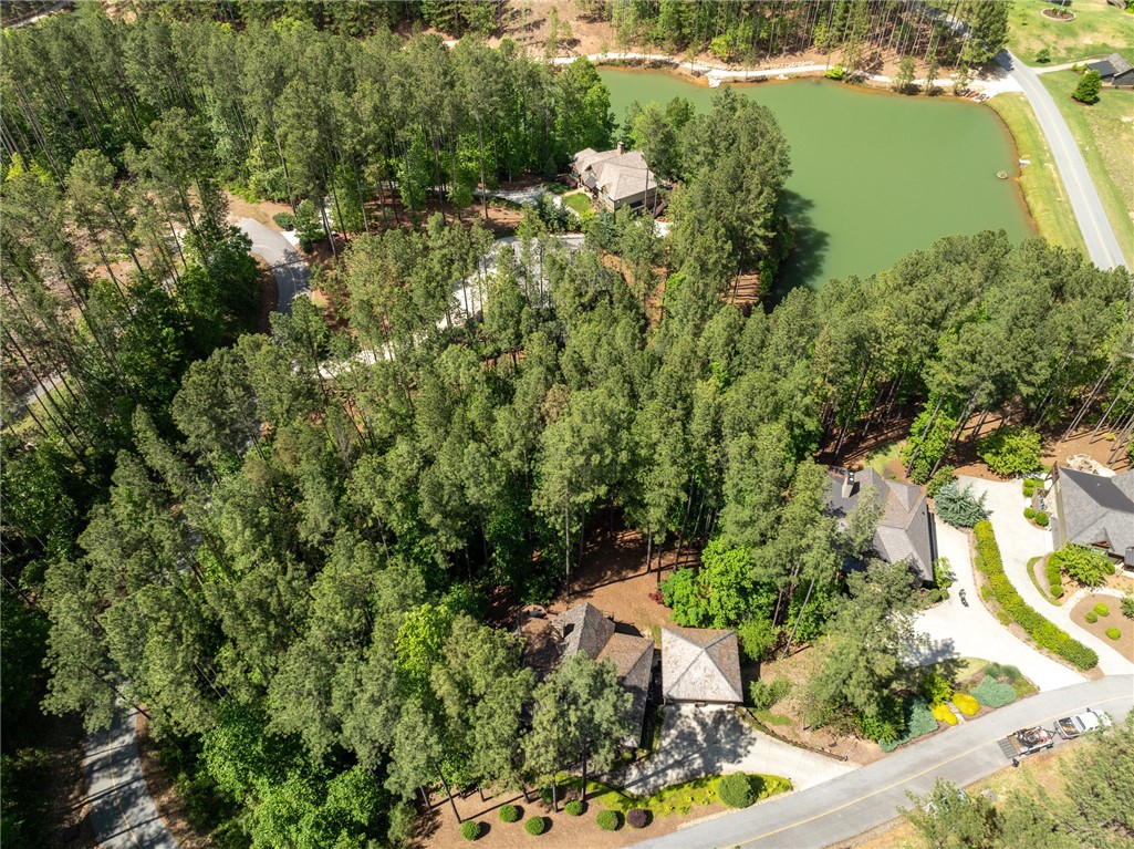 109 Laurel Pond Way, Sunset, South Carolina image 6