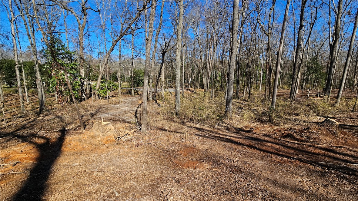 Lots 11 & 12 Thornehill Drive, Anderson, South Carolina image 10