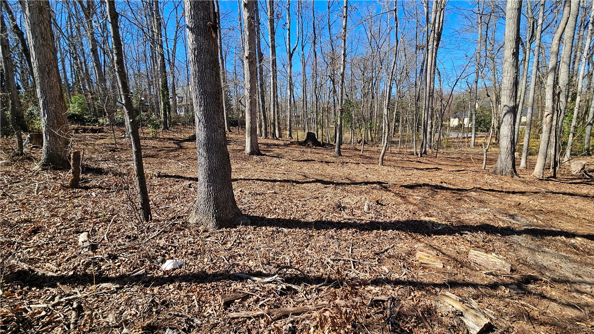 Lots 11 & 12 Thornehill Drive, Anderson, South Carolina image 3