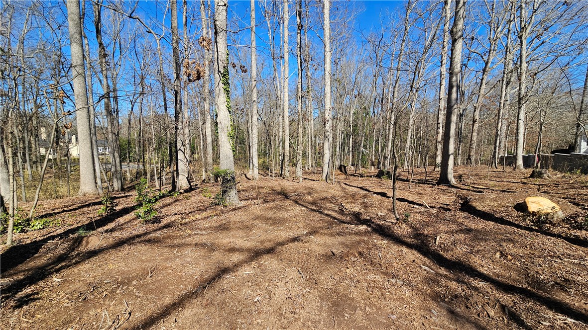 Lots 11 & 12 Thornehill Drive, Anderson, South Carolina image 7