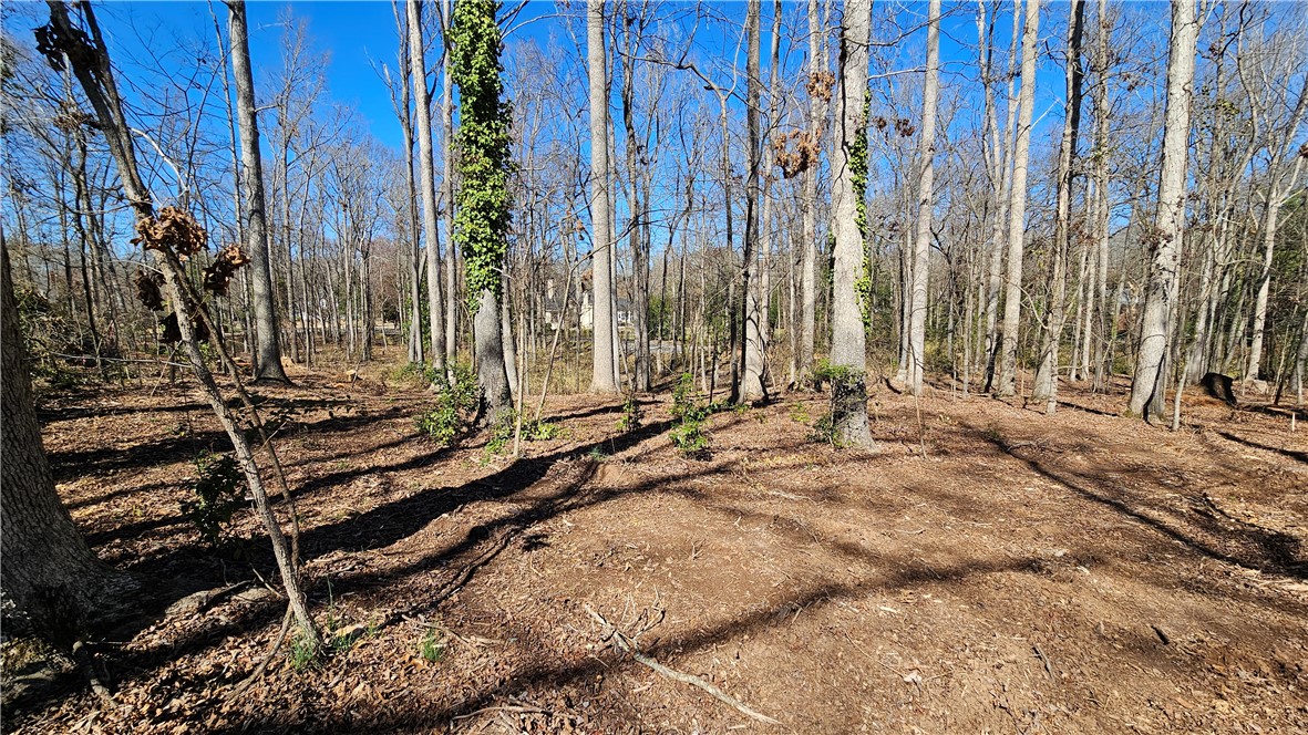 Lots 11 & 12 Thornehill Drive, Anderson, South Carolina image 6