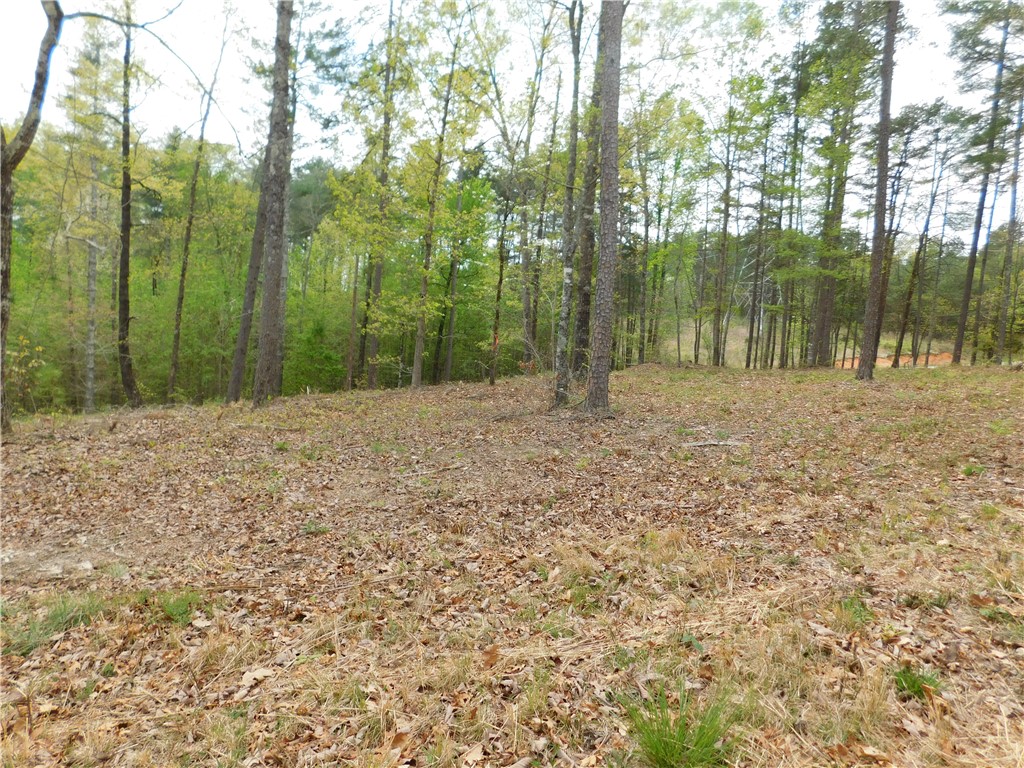 Lot 1 Old Chapman Bridge Road, Salem, South Carolina image 3