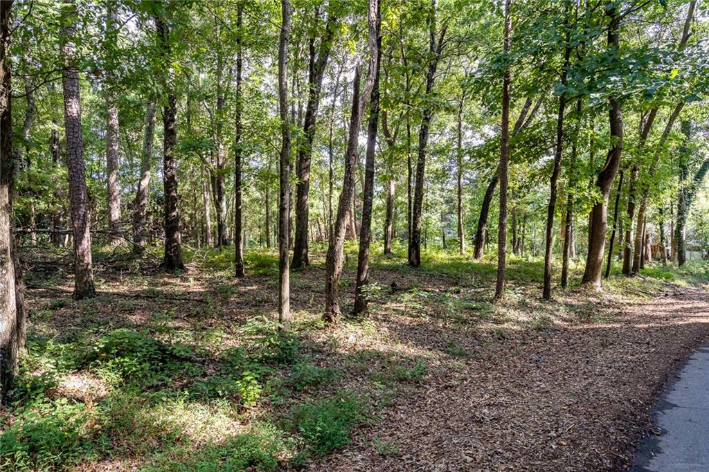 2002 & 2004 Fox Fire Road, Anderson, South Carolina image 2