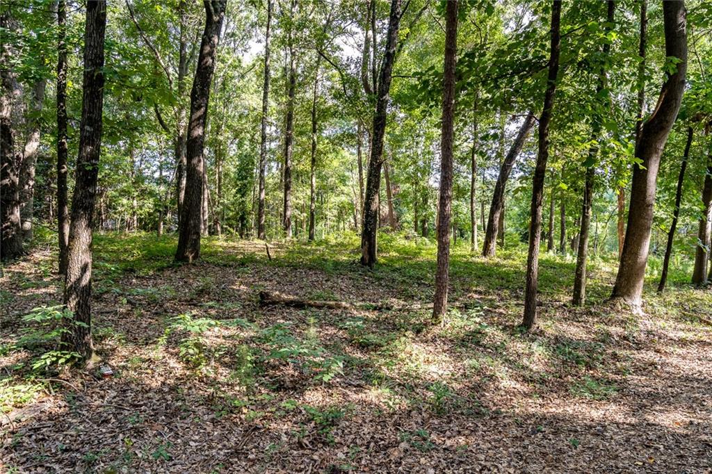 2002 & 2004 Fox Fire Road, Anderson, South Carolina image 4