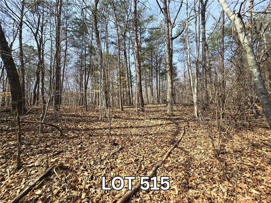 515 POINT RD, WESTMINSTER, SC 29693 - Image 37a9971d0c36bc28811576d182f04135/3638690924
