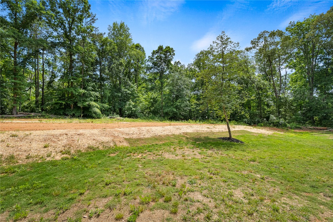 103 Benjamin Drive, Townville, South Carolina image 31