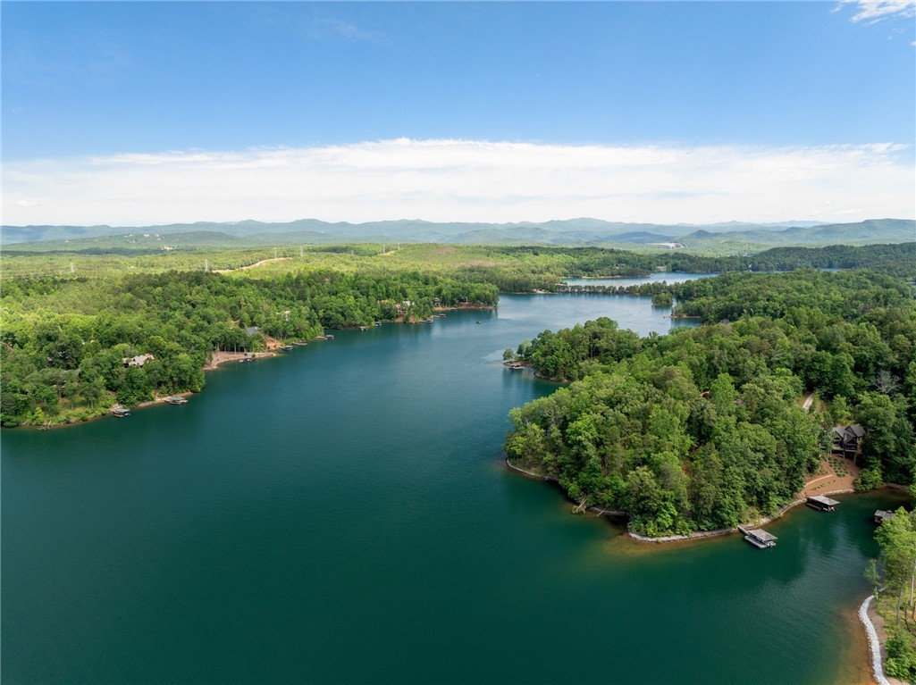194 Cool Water Way, Sunset, South Carolina image 45
