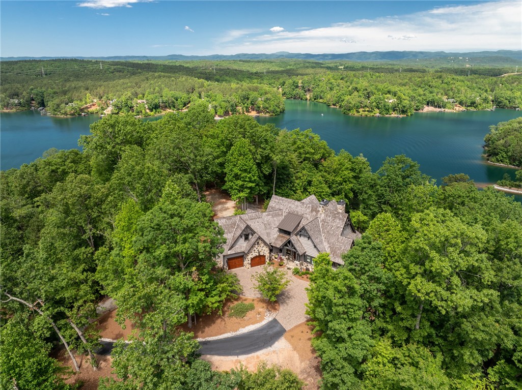 194 Cool Water Way, Sunset, South Carolina image 43