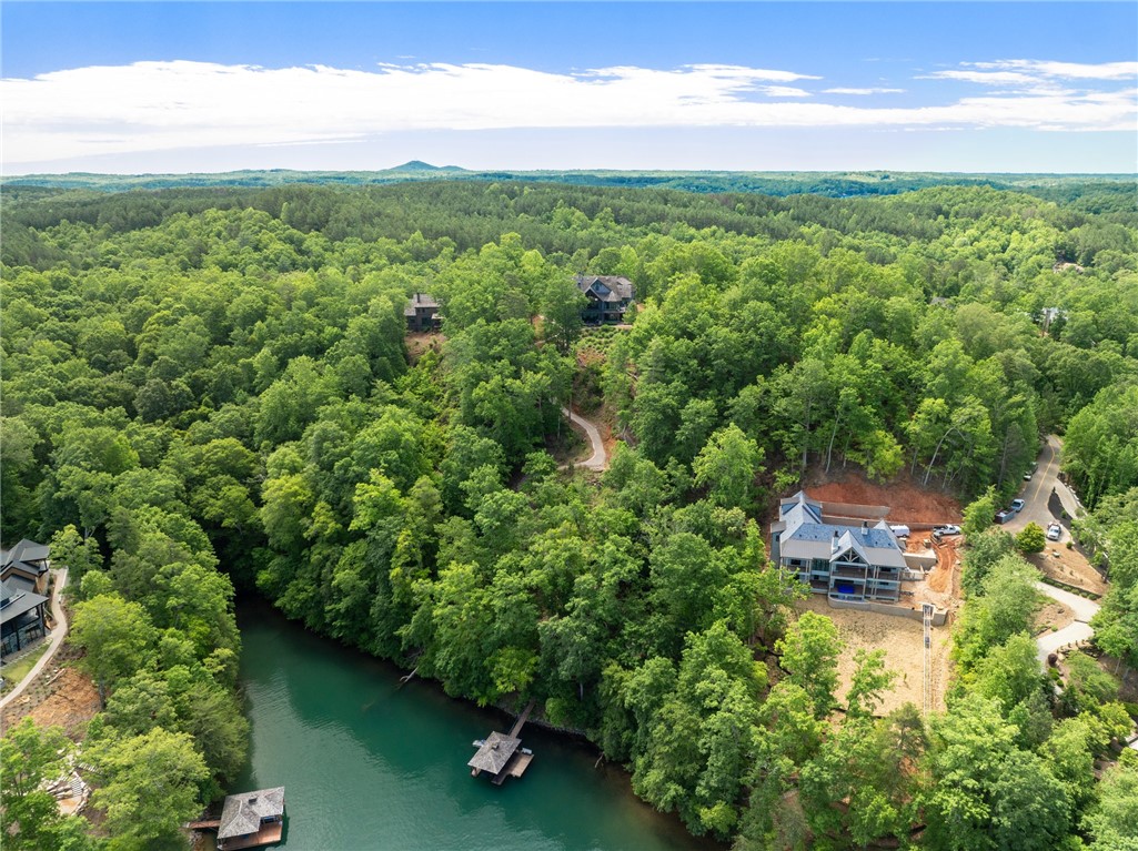 194 Cool Water Way, Sunset, South Carolina image 46