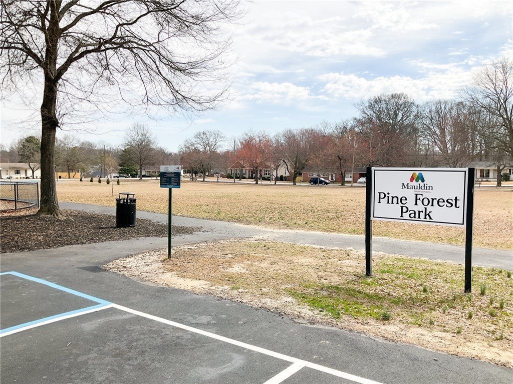 204 Lanewood Drive, Greenville, South Carolina image 29