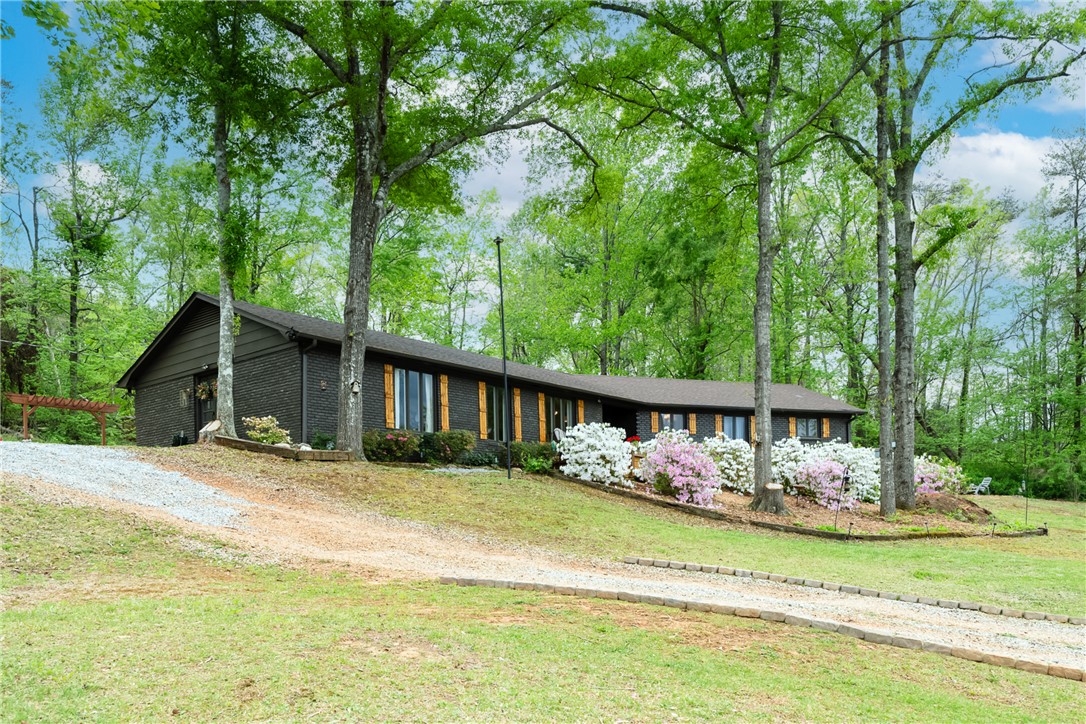 409 Freeman Bridge Road, Marietta, South Carolina image 2