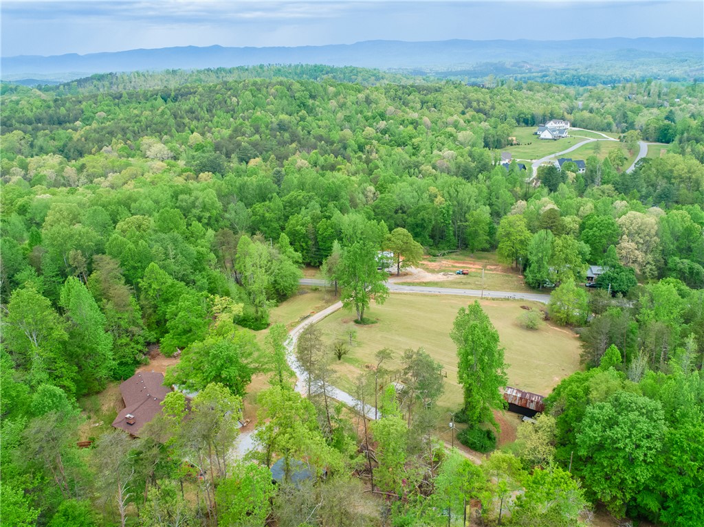 409 Freeman Bridge Road, Marietta, South Carolina image 37