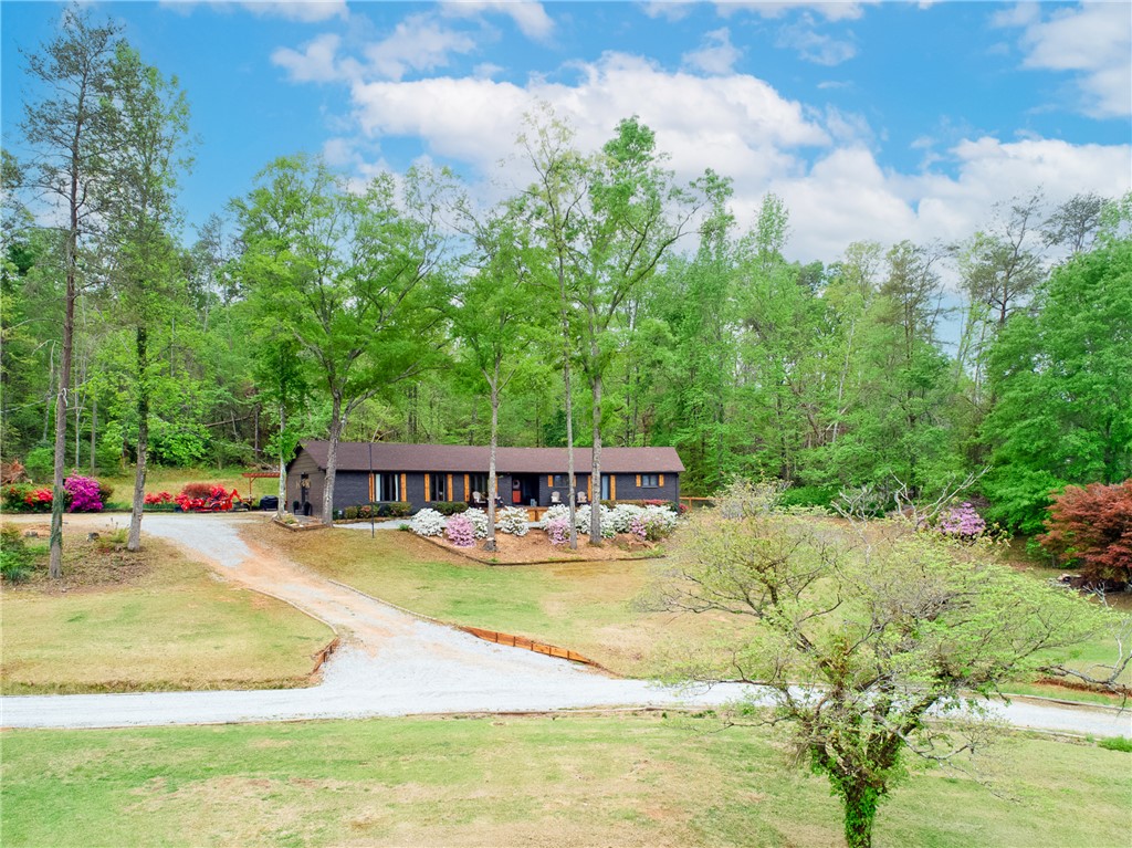 409 Freeman Bridge Road, Marietta, South Carolina image 1