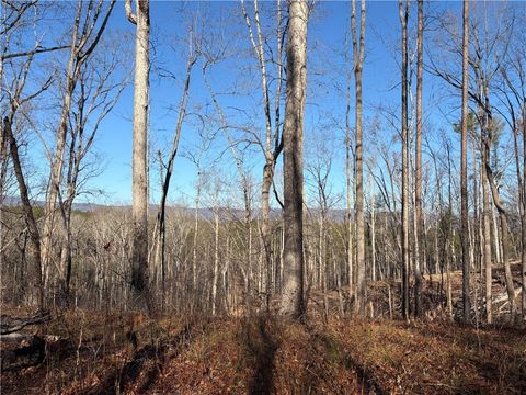 Vacant Land For Sale - TRACT Q The Bear Boulevard<br/> Tamassee, SC 29686