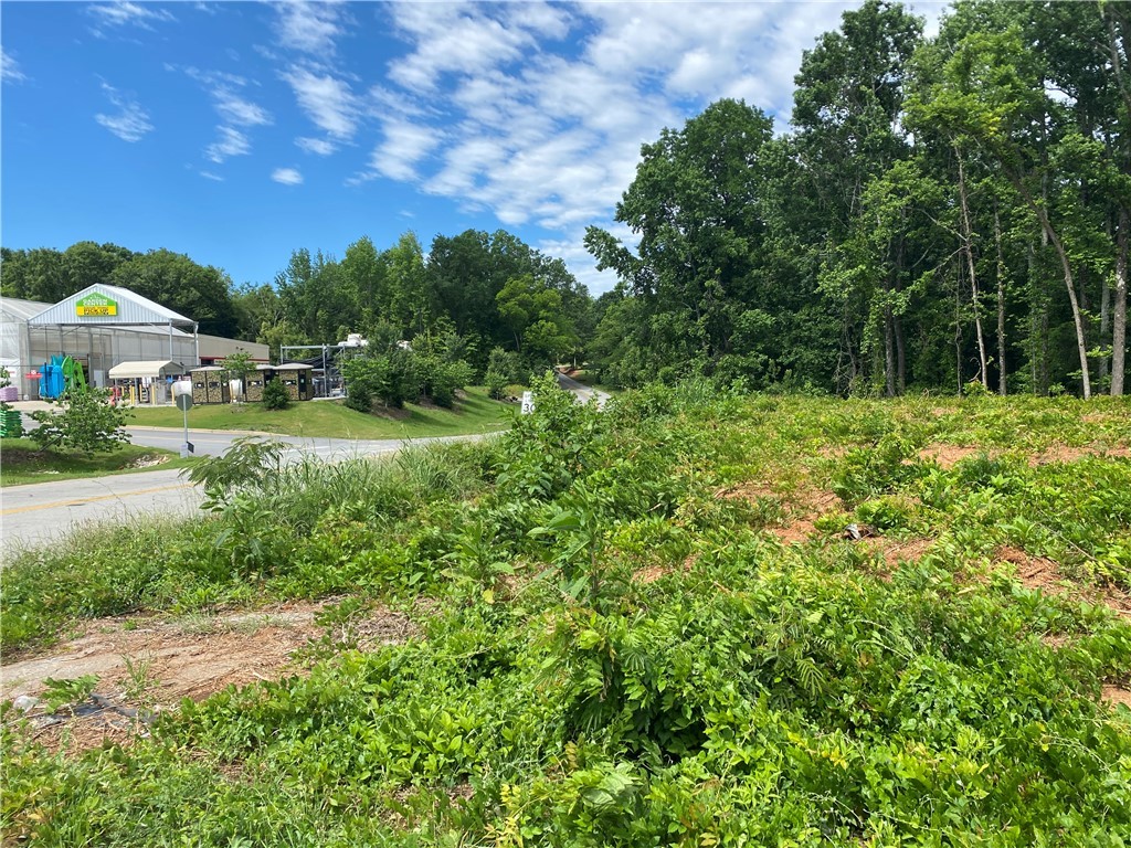 00 Hwy 28 Bypass/new Pond Road, Anderson, South Carolina image 4