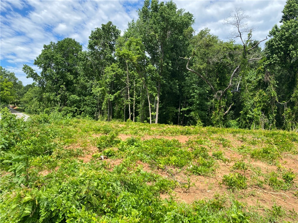 00 Hwy 28 Bypass/new Pond Road, Anderson, South Carolina image 2