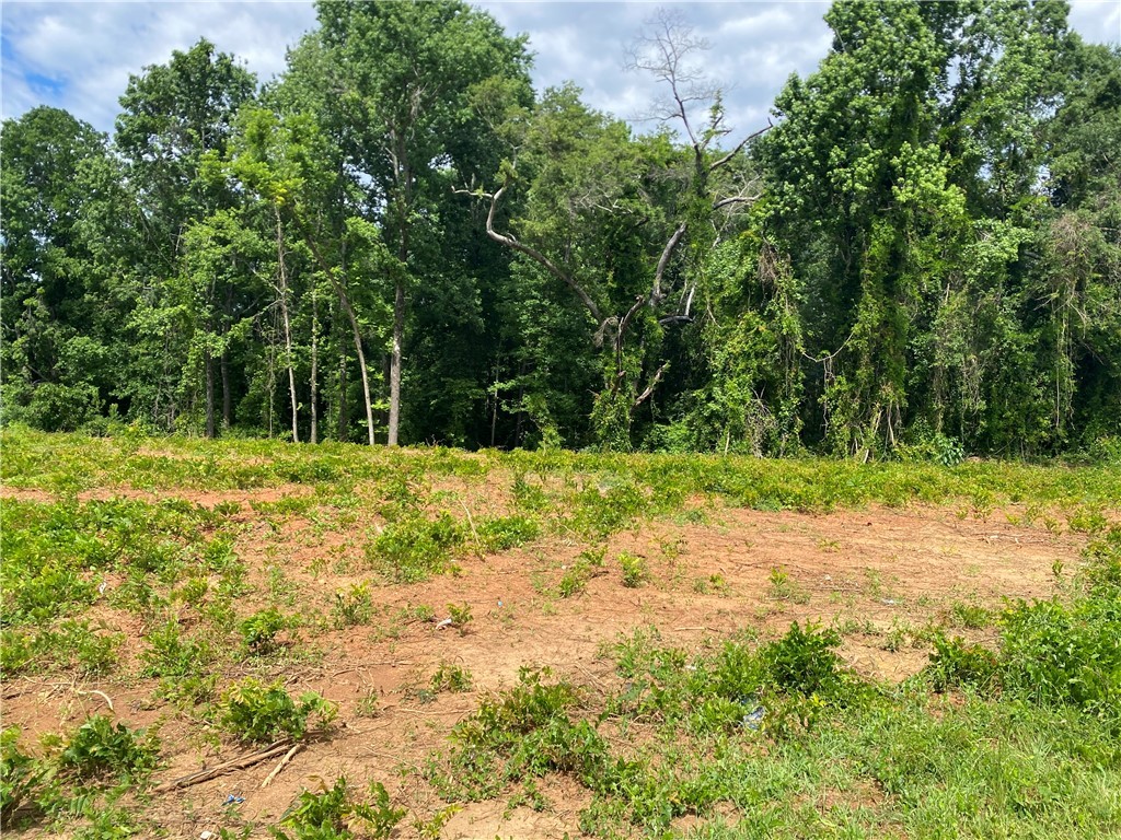 00 Hwy 28 Bypass/new Pond Road, Anderson, South Carolina image 9